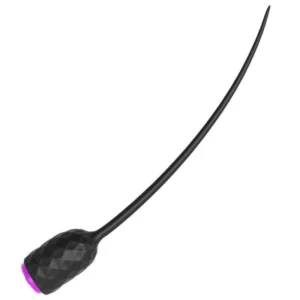 Large and Small Urethral Sound Rods