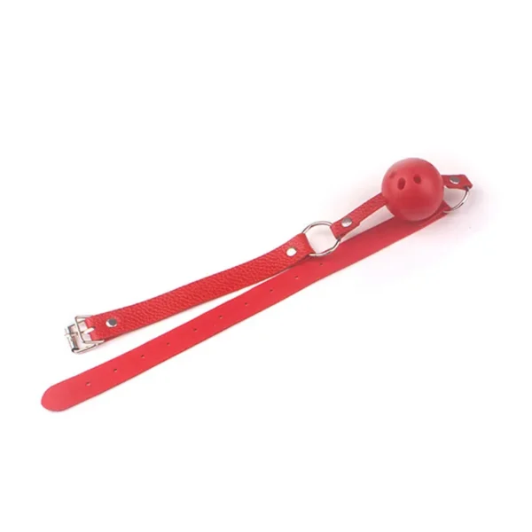 Three-Color Ball Gag - Image 4