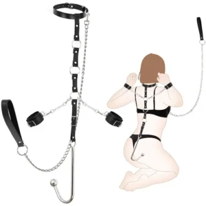 Forcibly bind the metal anal hook