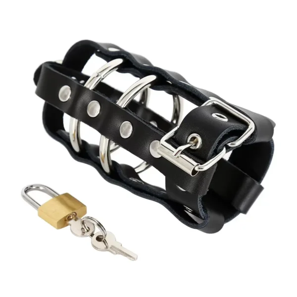 The birdcage ring is fitted with the chastity lock - Image 7