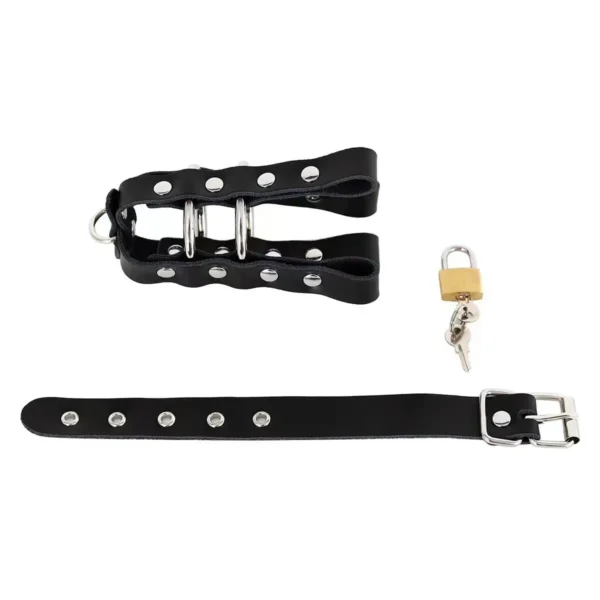 The birdcage ring is fitted with the chastity lock - Image 6
