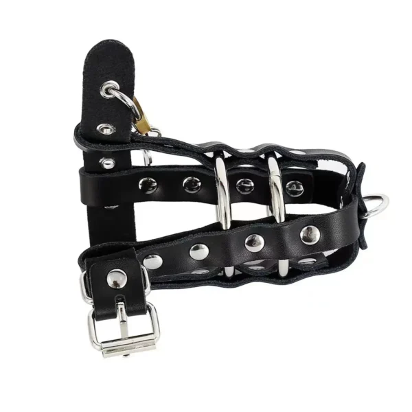 The birdcage ring is fitted with the chastity lock - Image 4