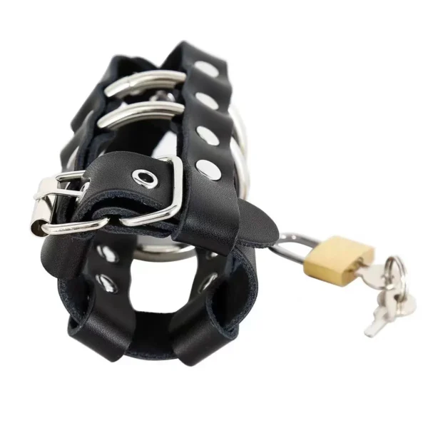 The birdcage ring is fitted with the chastity lock - Image 3