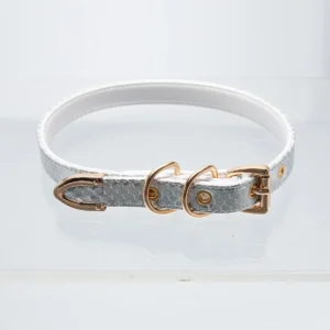 Thin White Snakeskin Pattern Choker with Brass Buckle