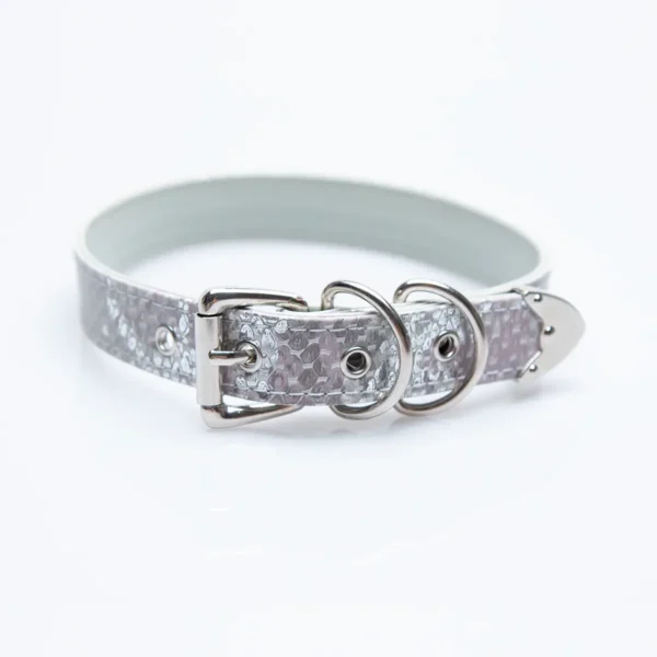 Silver-White Snakeskin Pattern Choker with Silver Buckle - Image 2