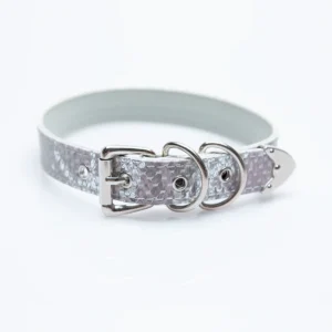 Silver-White Snakeskin Pattern Choker with Silver Buckle